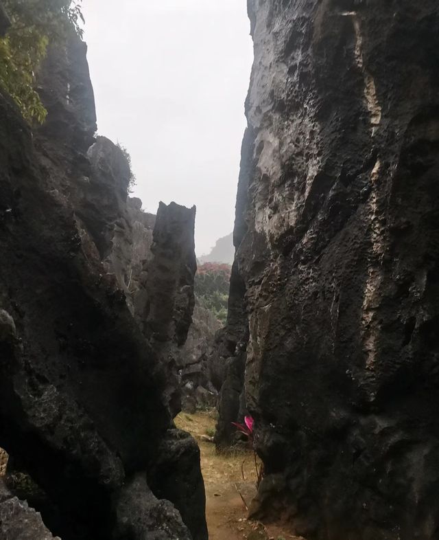 春灣石林：喀斯特奇境，大地藝術畫卷。