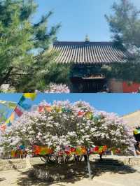 號稱塞外小五台，庫倫三大寺。