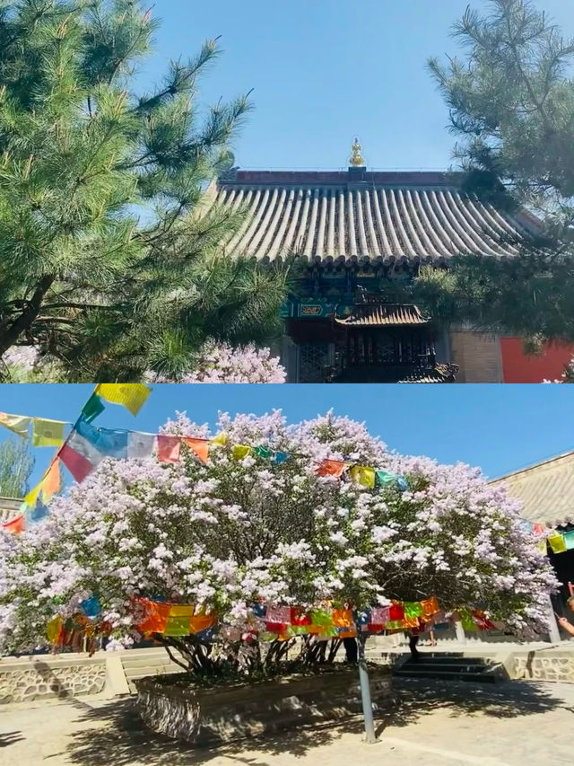 號稱塞外小五台，庫倫三大寺。