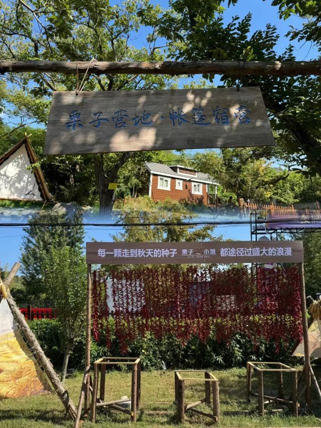 蒙山·栗子自然營地 | 邂逅自然，盡享野趣。