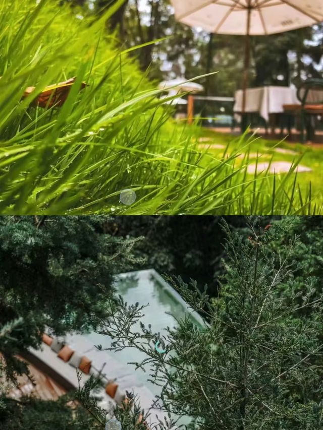 昆明隱世桃源和念·半山森林酒店尊享體驗。