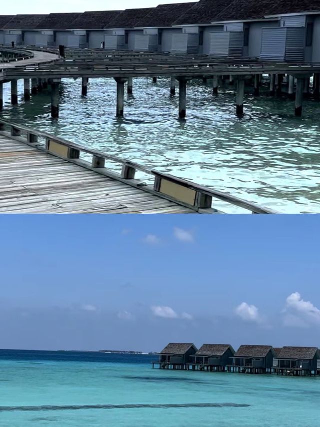 拿下馬爾代夫庫拉瑪提內部價！代理直呼內行 它是馬代最大的島嶼之一，有着長長的拖尾沙灘 它是五星網紅。