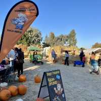 Spooky Halloween Attractions In the Haunted house