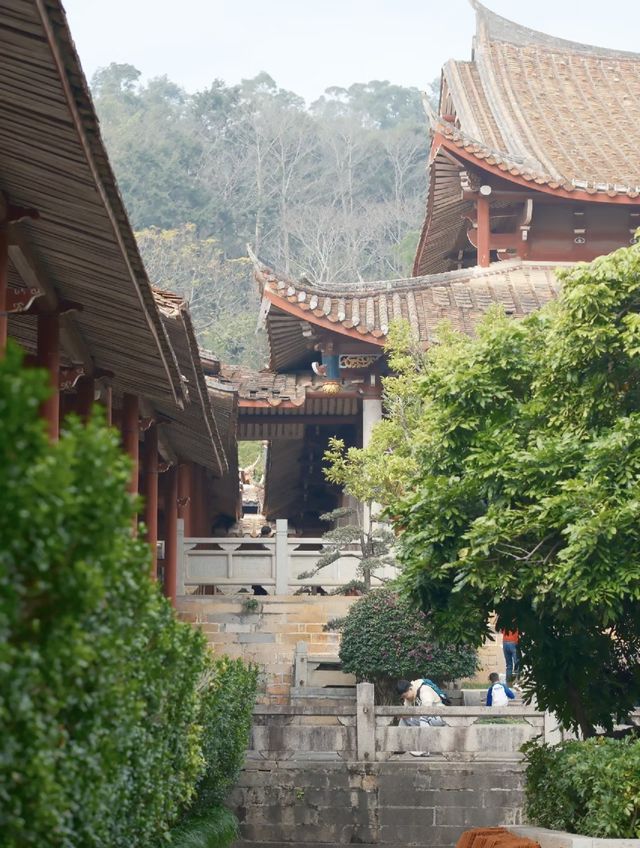 南山廣化寺遊記。