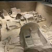 Tianzi Jialiu Museum in Luoyang - Eastern Zhou Royal Horse and Chariot Pits