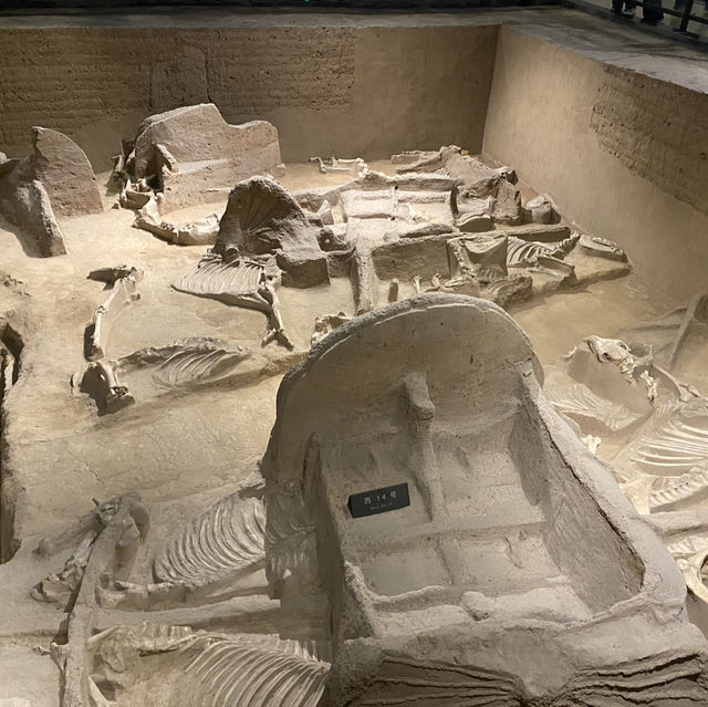 Tianzi Jialiu Museum in Luoyang - Eastern Zhou Royal Horse and Chariot Pits