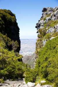 Table Mountain National Park 遊玩攻略。