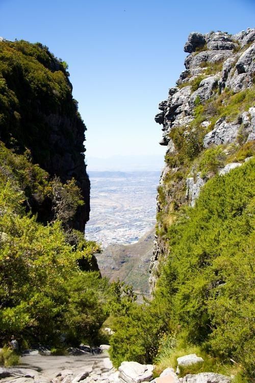 Table Mountain National Park 遊玩攻略。