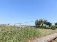 秋日逛公園之西青郊野公園。