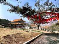 延吉·東來寺 | 一場心靈的禪意之旅。