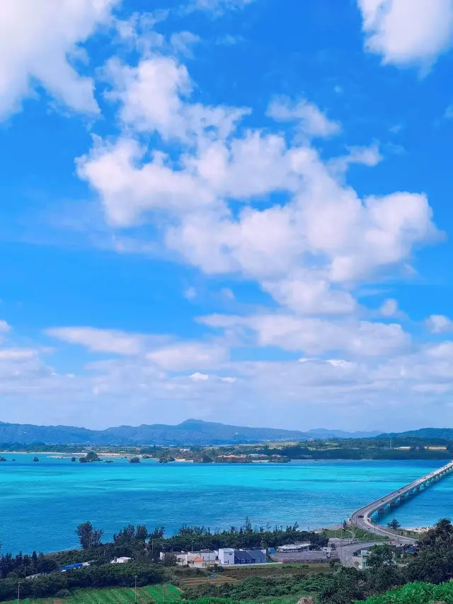 5-Day Family Trip to Japan: A Super Detailed Guide is Here!