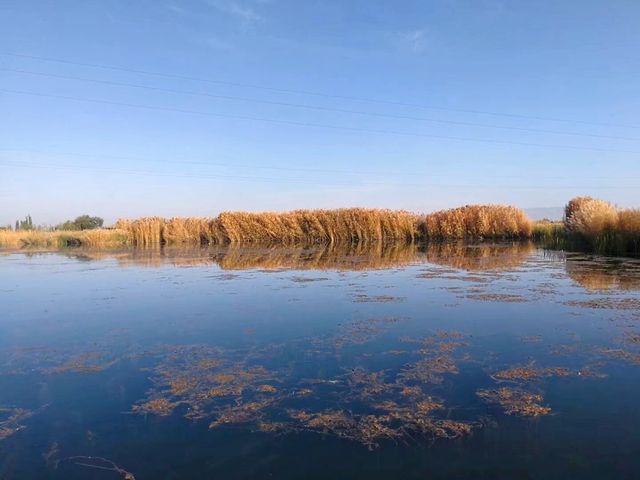 張掖國家濕地公園。