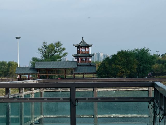 尋找城市中的秘境森林氧吧。