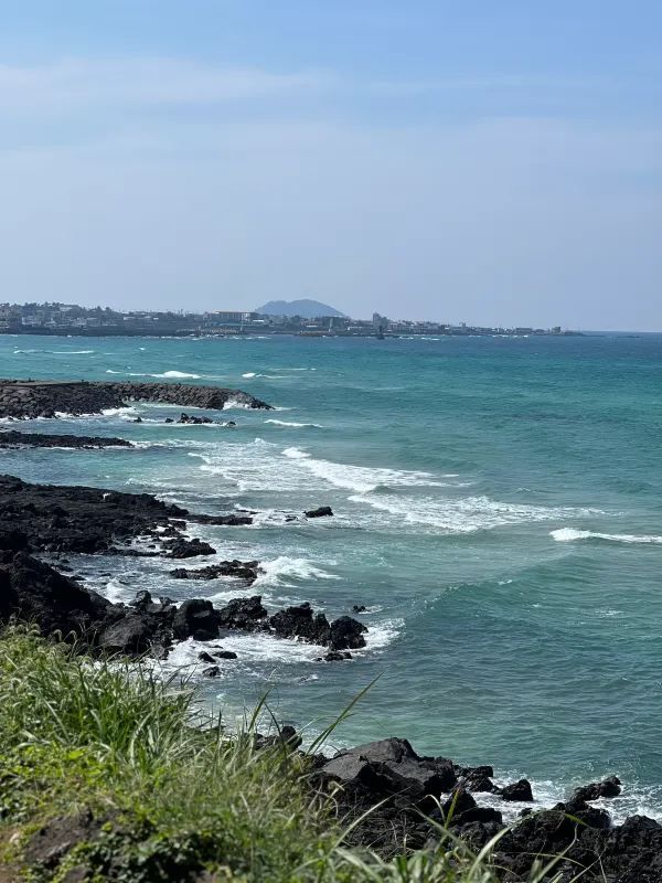 Discover My Favorite Coffee Shop in Aewol, Jeju Island!
