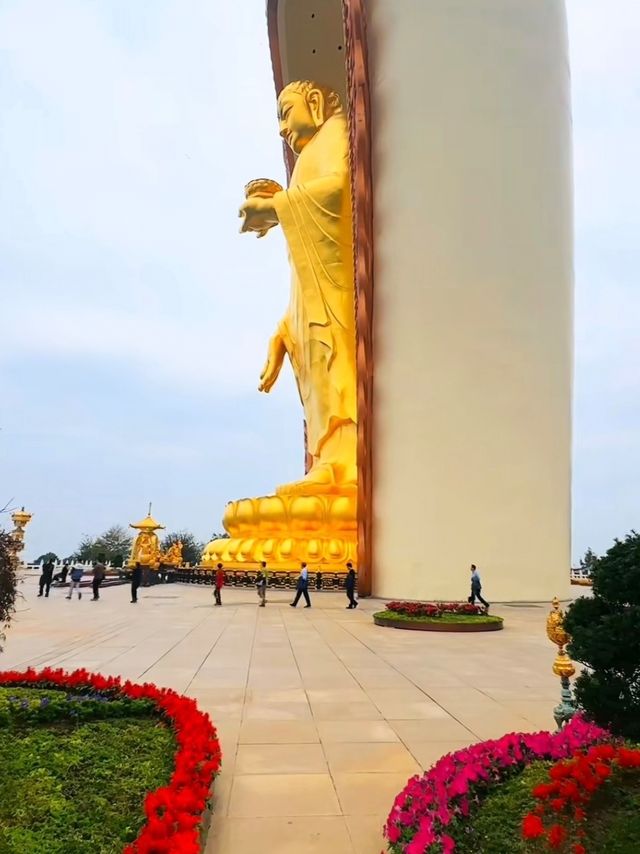 東林大佛保姆級旅遊攻略，快收藏！