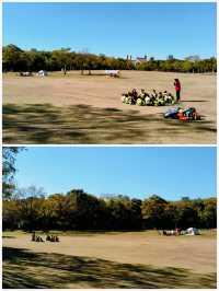 上海寶山，吳淞炮台灣國家濕地公園。