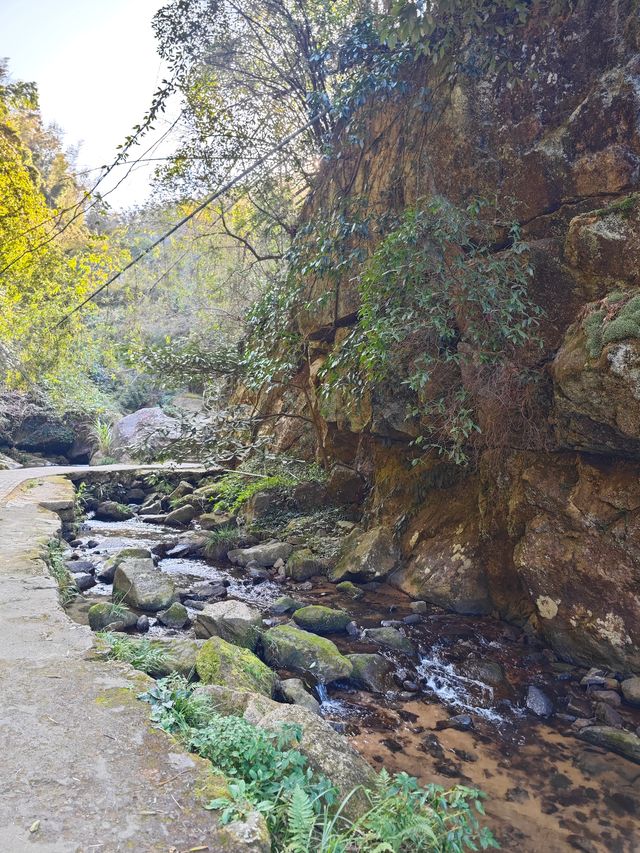 《神龍潭瀑布：探秘自然奇境，暢享山水逸趣之旅》。