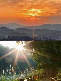 普洱的璀璨明珠——梅子湖公園。