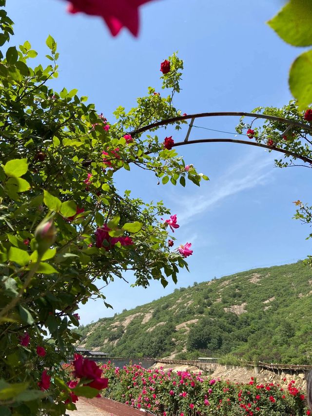 南陽 ｜ 七峰山旅遊攻略。