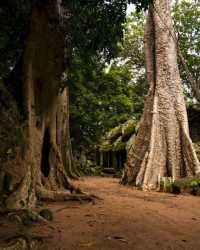 Cambodia's Angkor Wat
