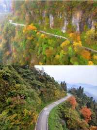 樂山-眉山2日遊攻略 玩轉兩大城市的秘密
