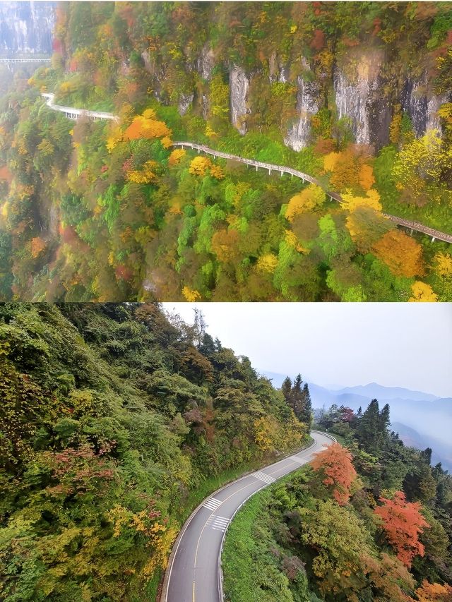樂山-眉山2日遊攻略 玩轉兩大城市的秘密