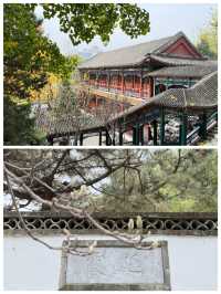 大觀園讓人陶醉的花園勝似仙境