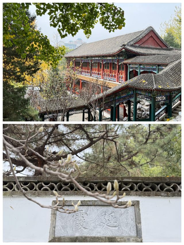 大觀園讓人陶醉的花園勝似仙境
