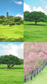 天呀｜深圳已經 next level 宮崎駿夏日來了
