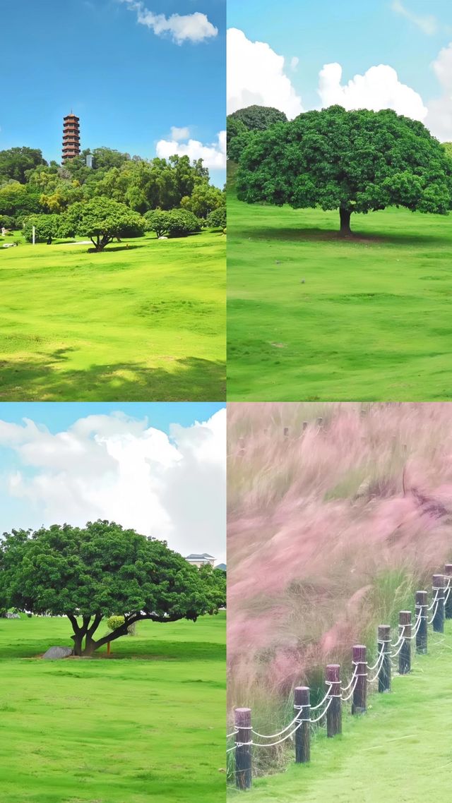 天呀｜深圳已經 next level 宮崎駿夏日來了