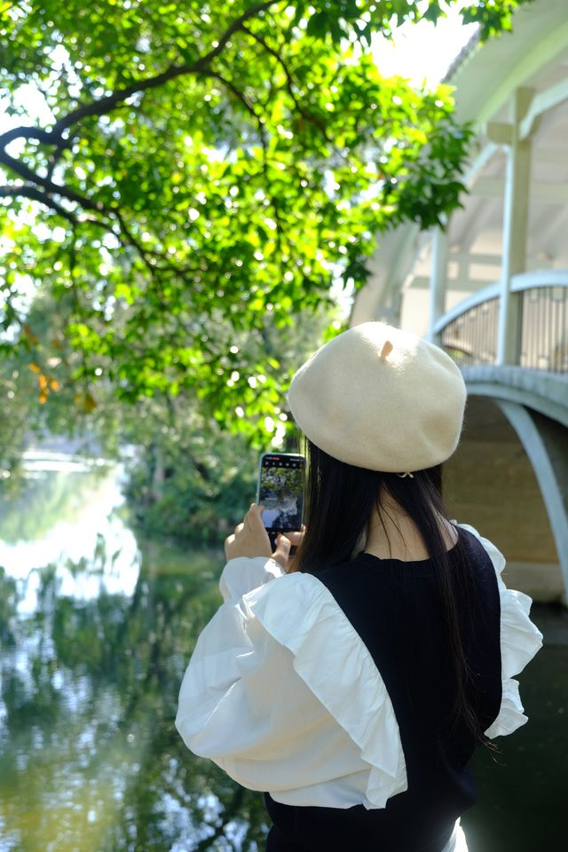 好像遇到了綠光森林！不敢相信這是荔枝公園