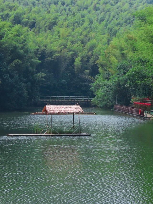 南京石塘竹海｜「小九寨溝」～