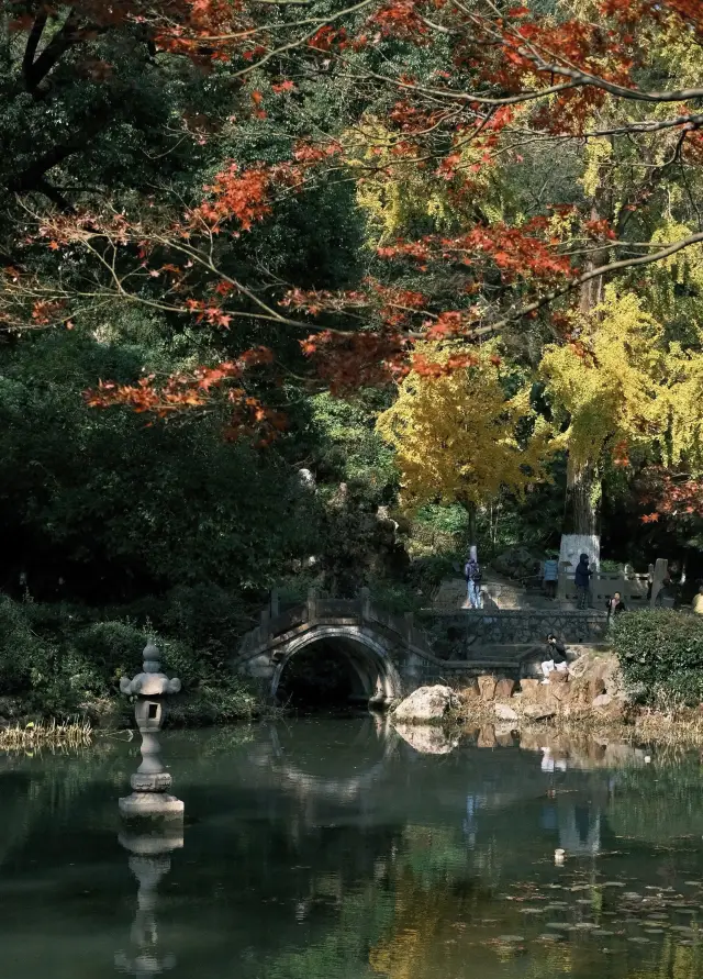 A hidden gem in Kunshan! 