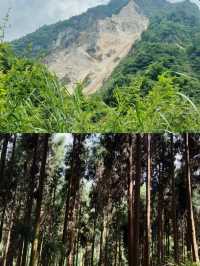 漫步在雲的故鄉 — 感受棠山之巅的詩與遠方
