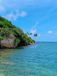 Sri Lanka Whale Watching Adventure