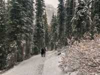 "冬季限定"的落基山冰雪旅遊季