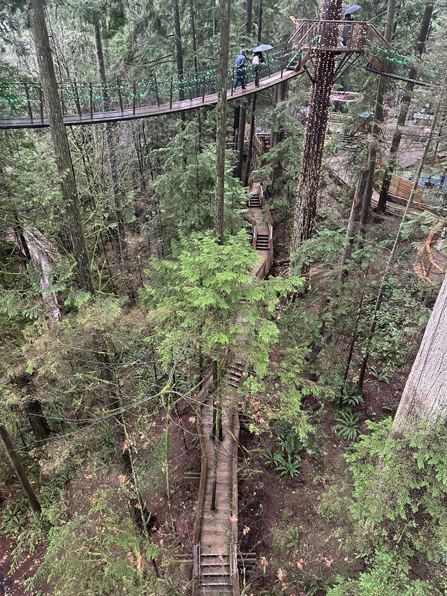Experience the Thrill of Capilano Suspension Bridge Park