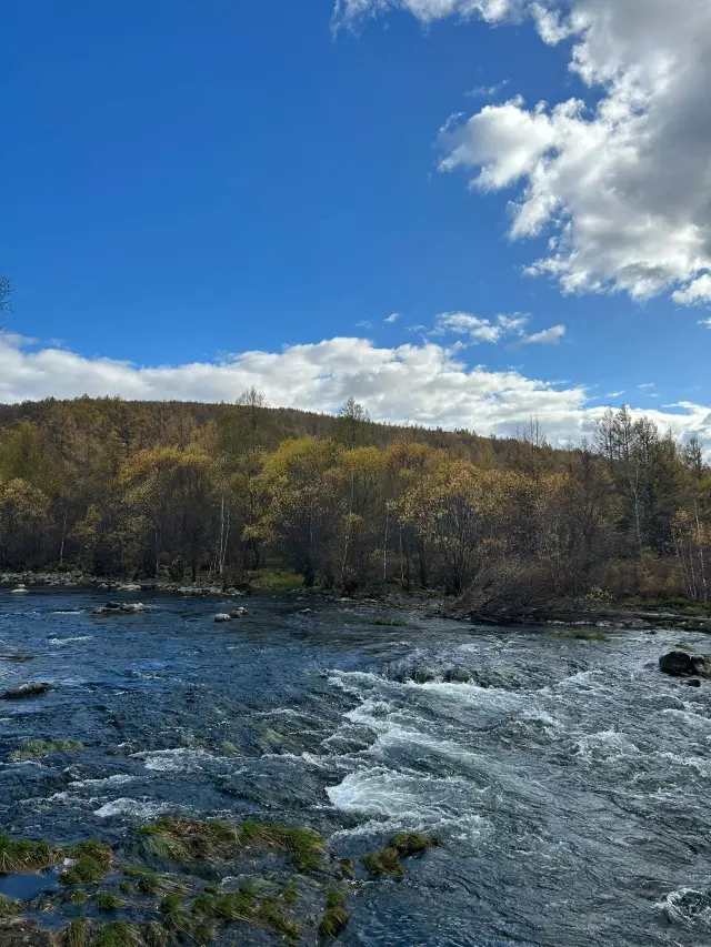 후룬베이얼 등지의 시티워크 노년층 여행 가이드