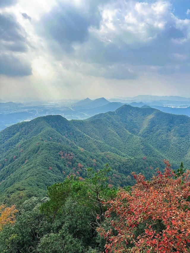 余杭娘娘山 | 爬「小富士山」| 90°先算牆 89°都算斜坡
