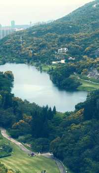 高山水庫變成了湖·高空步道美景盡收