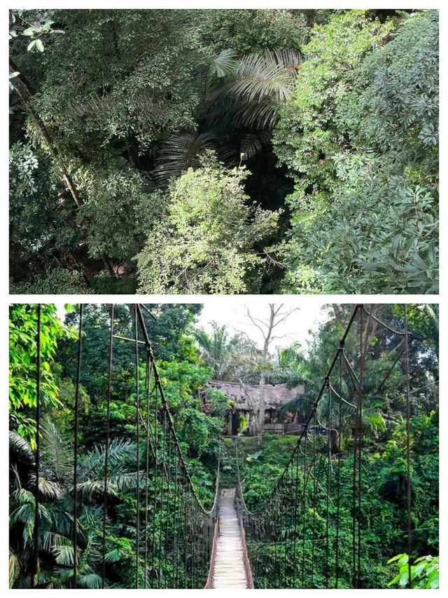 探索神秘多元的馬來西亞之旅