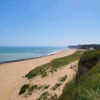 Botany Bay at Kent: A Glance at Nature's Wonders