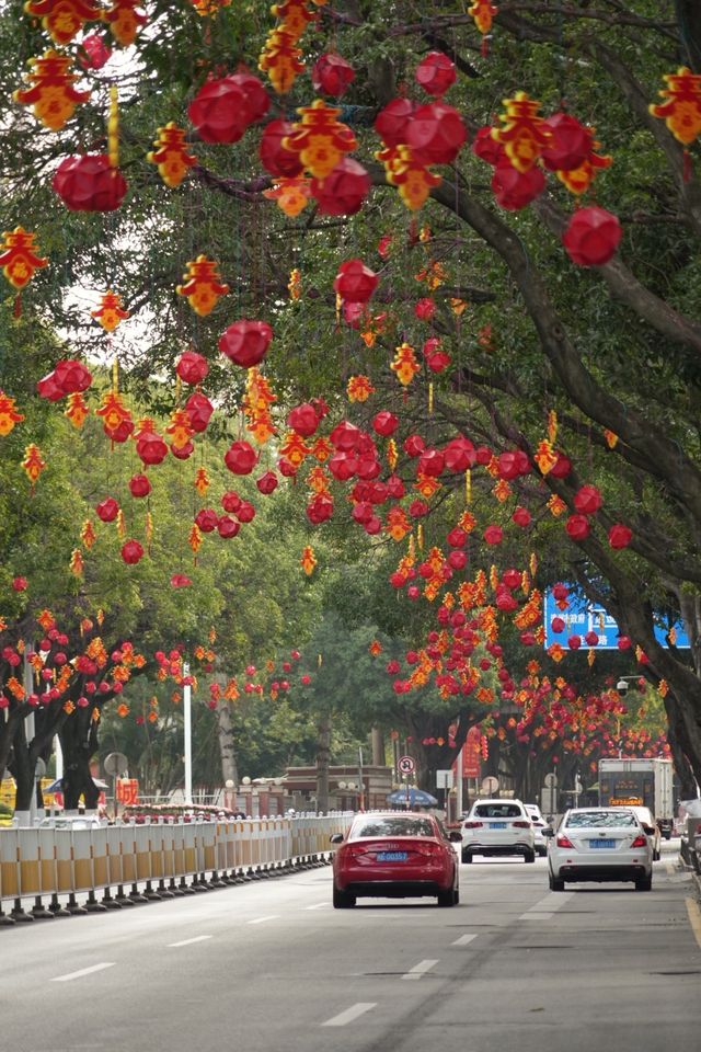 新年來漳州,體驗了一家新酒店 新年來漳州,體驗了一家新酒店