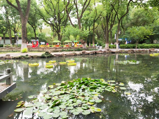 亭林公園 亭林公園