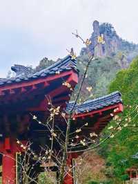 鼎湖峰 這裡有「天下第一筍」 還可以看軒轅祭典哦