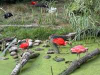 The London Zoo is surely a must visit