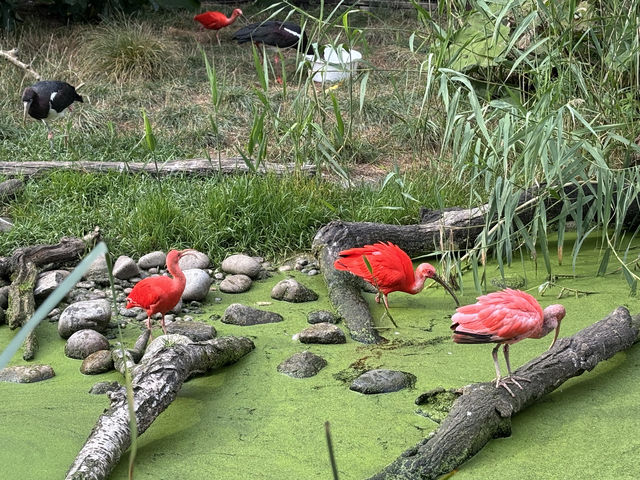The London Zoo is surely a must visit