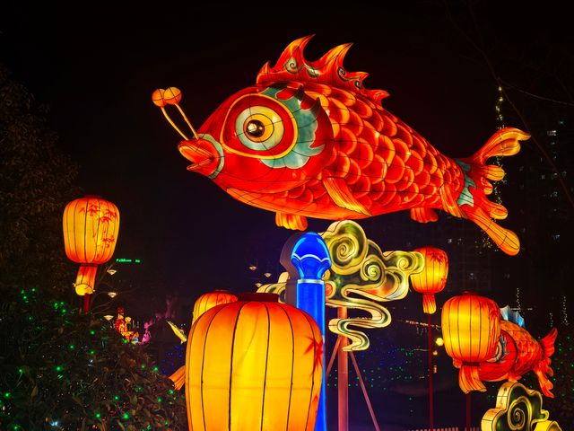 泰州姜堰的新春燈會真的很出圈！