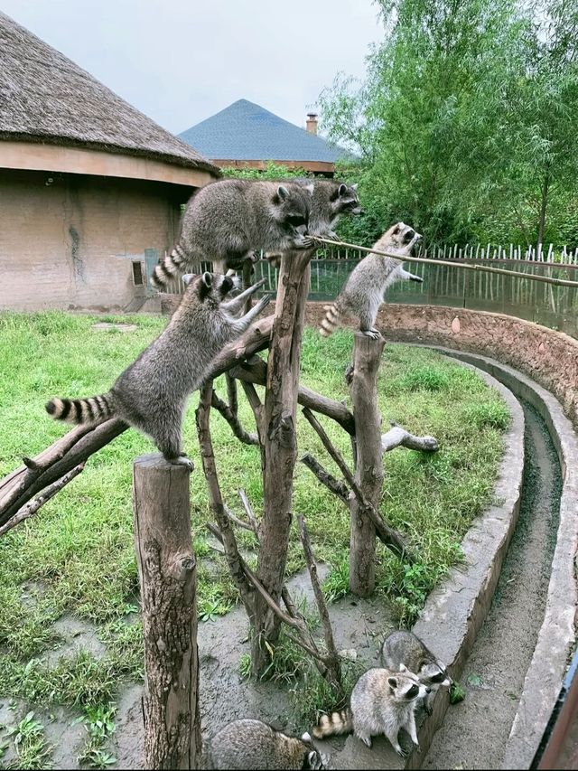 龍沙動植物園：動植物們的可愛小天地