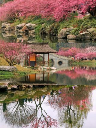 In Chengdu! The only park I want to visit countless times